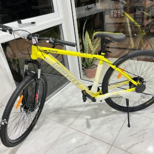 BICICLETA R 29