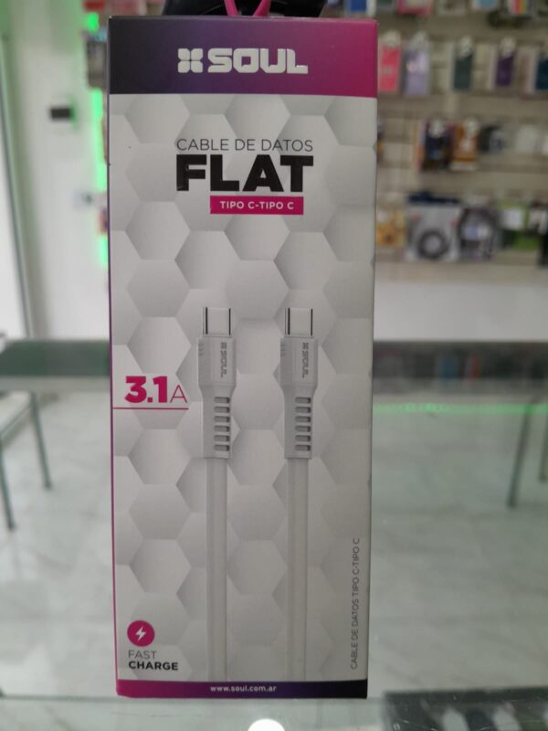 USB FLAT TIPO C TIPO C 3.1A