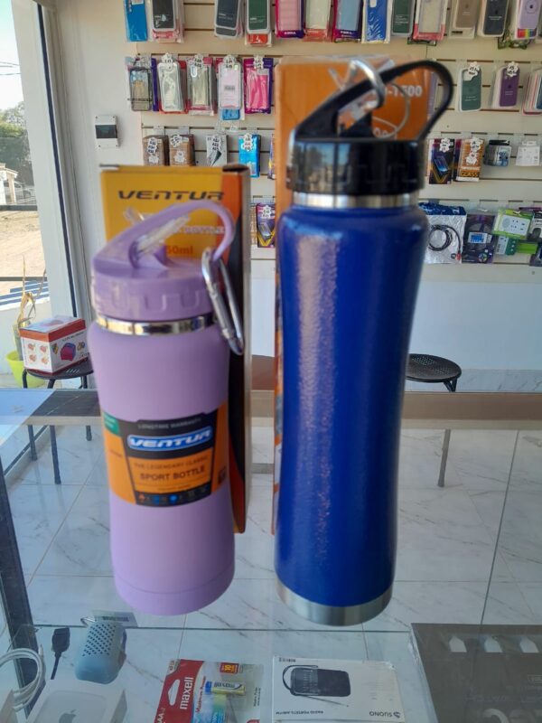TERMOS/BOTELLAS 350 ML